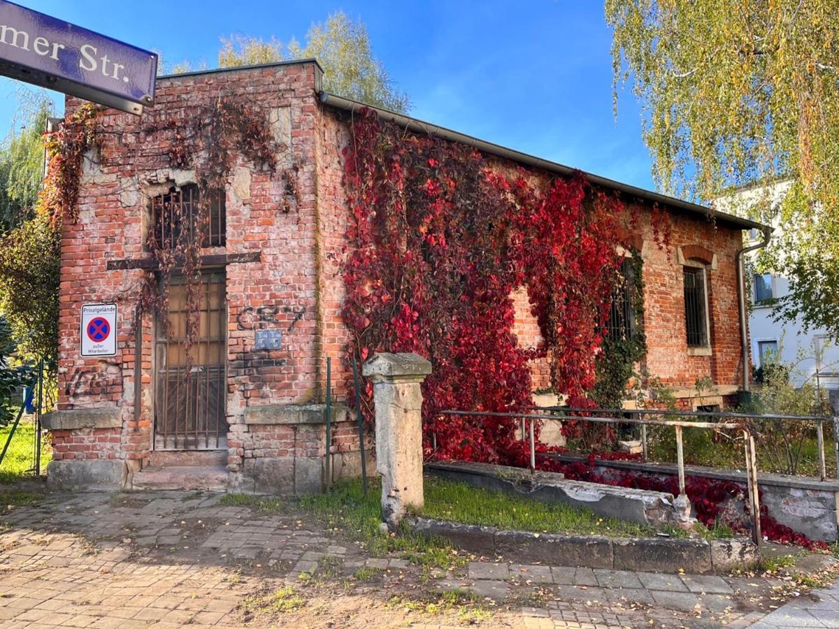 Gemutliche Oase - Tv, Beamer, Kuche Fur 4 Personen Apartamento Dresde Exterior foto